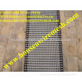 High Quality Conveyer belt mesh ( 15 years factory)